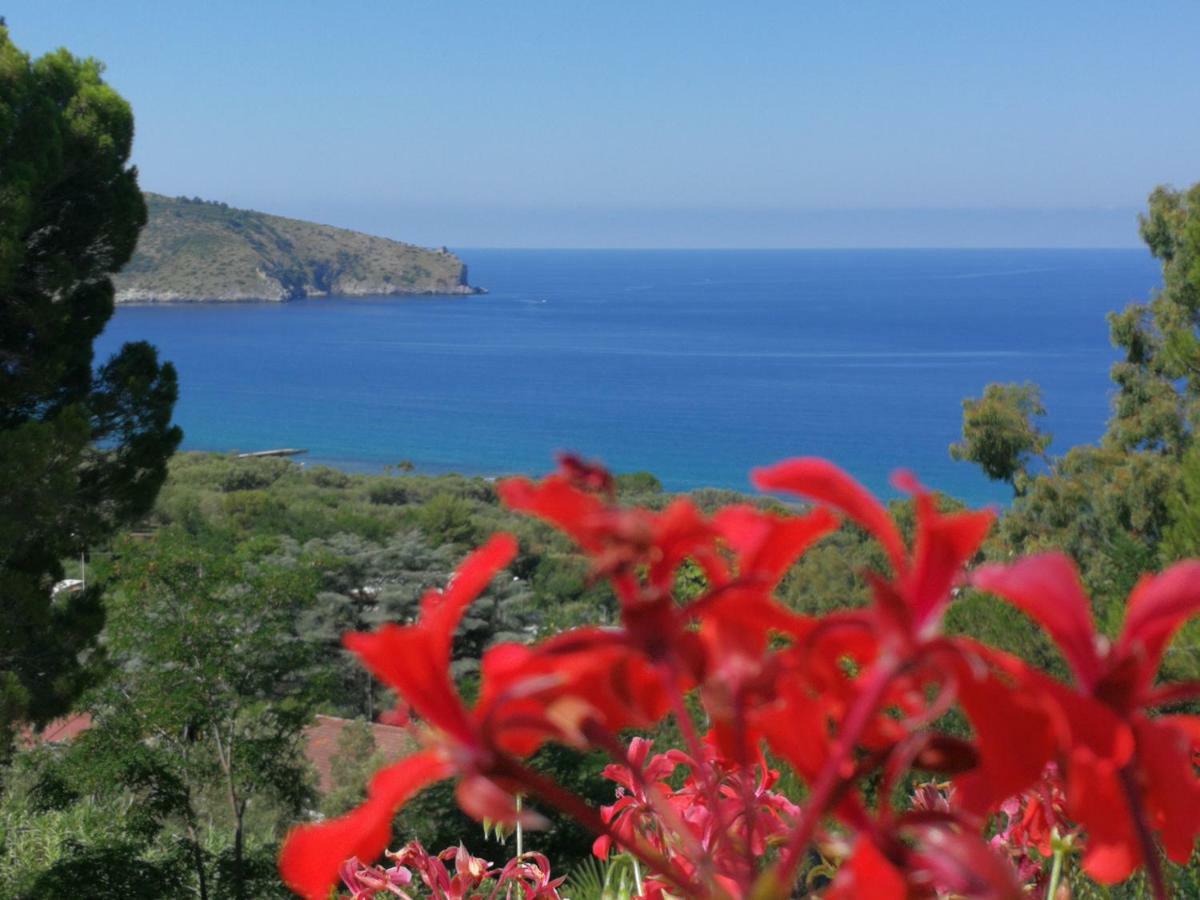 Il Sogno Di Vincenzo E Maria Bed & Breakfast Palinuro
