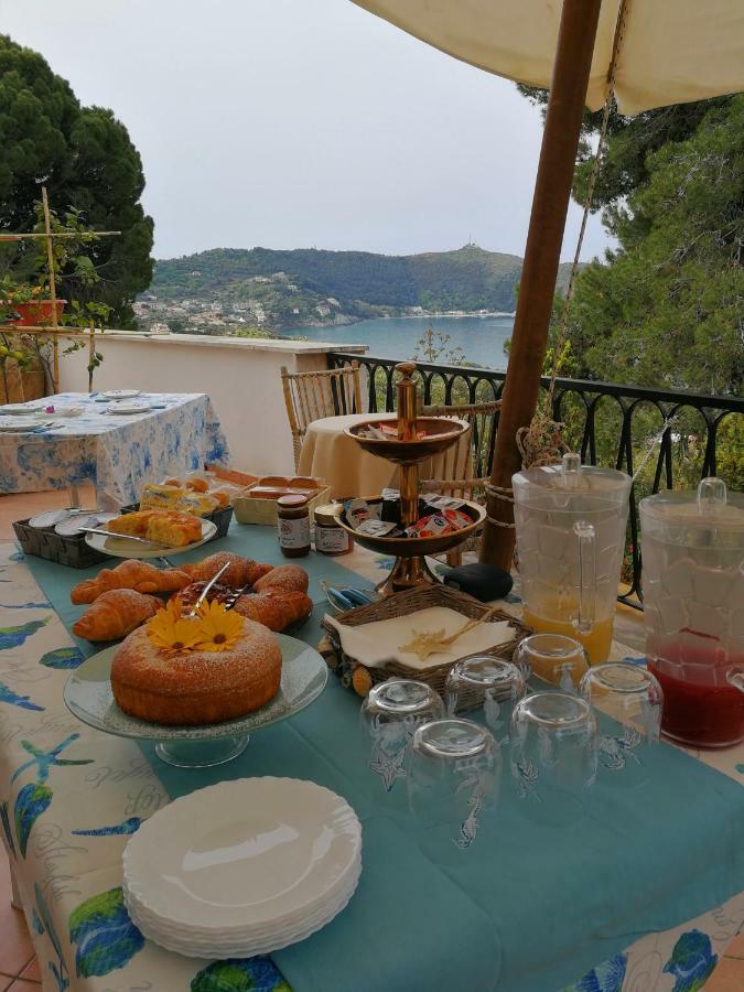 Il Sogno Di Vincenzo E Maria Bed & Breakfast Palinuro